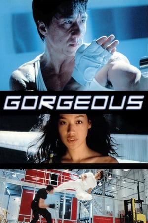 Gorgeous 1999 100mb Hindi Dual Audio movie Download HD Poster Download - filmyfly