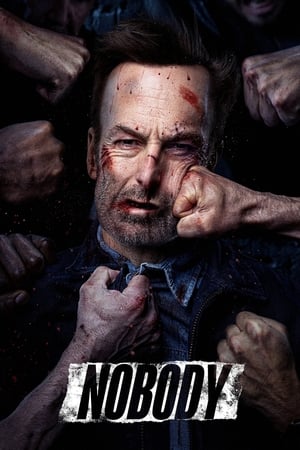 Nobody (2021) Hindi Dual Audio – – HD Poster Download - filmyfly