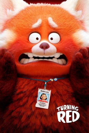 Turning Red 2022 Hindi Dual Audio – 480p
